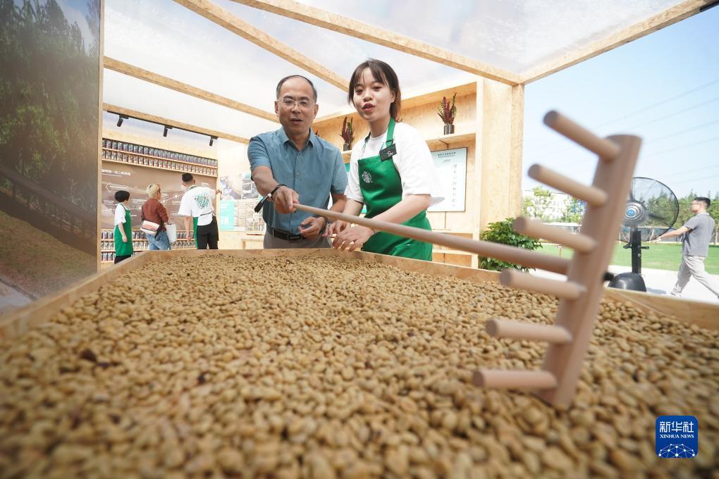 金皇冠注册平台